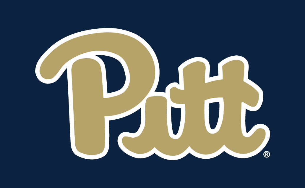 Pittsburgh Panthers 2016-2018 Alternate Logo v2 diy DTF decal sticker